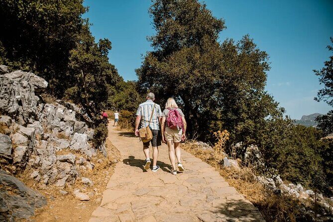 Full-Day/Half-Day Tour : Lasithi Plateau & Knossos Palace - Exploring the Tour: A Step-by-Step Breakdown