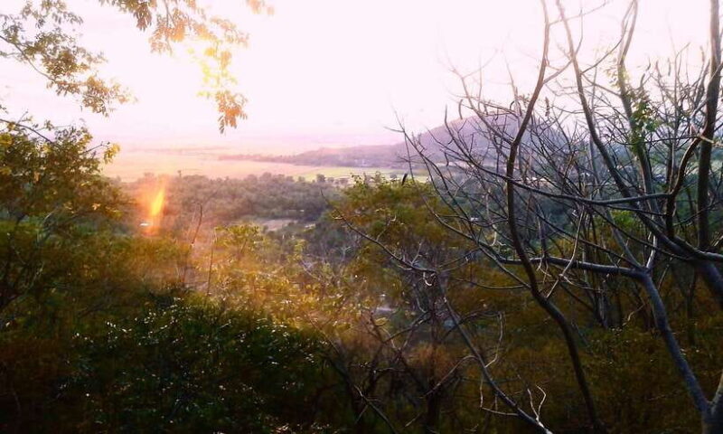 Full-day: Handicraft, Bamboo train, Killing cave, Bat Cave - FAQ