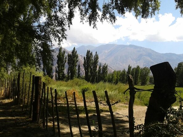 Full Day High Mountain Tour: Potrerillos, Uspallata From Mendoza - Good To Know