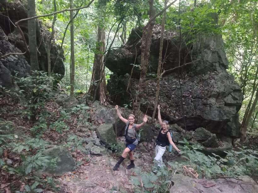 Full Day Hike - Climbing in Jungle of Cat Ba National Park - Activity Overview