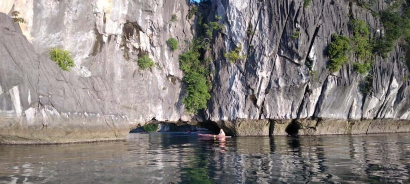 Full Day Hike - Climbing in Jungle of Cat Ba National Park - Relaxing at Frog Pond