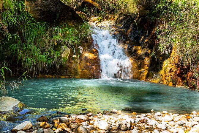Full Day Hike Tour from Dominica - The The Sum Up: Is This Tour for You?