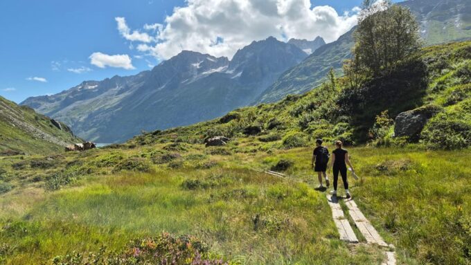 Full-Day Hiking Swiss Alps and Lake With Pick-Up - Lucerne - Hiking Trails and Scenery