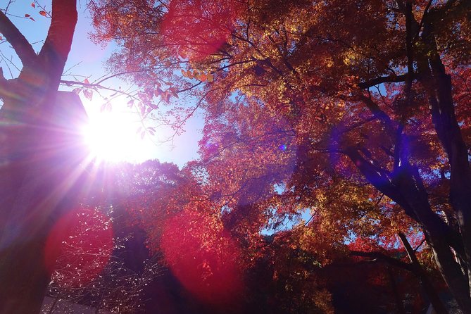 Full Day Hiking Tour at Mt.Takao Including Hot Spring - Hiking to the Summit