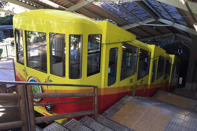 Full Day Hiking Tour at Mt.Takao Including Hot Spring - Guided Private Tour