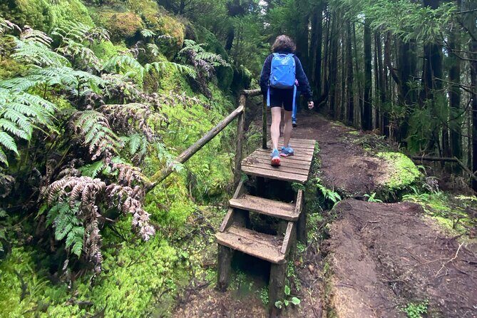 Full Day Hiking Trail Sete Cidades and Ferraria - Key Points