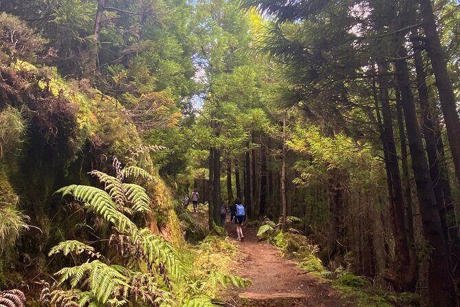 Full Day Hiking Trail Sete Cidades and Ferraria - Practical Details and Value