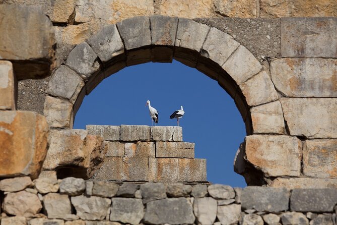 Full-Day Historical Tour to Meknes Volubilis and Moulay Idriss - Booking Information