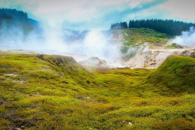 Full Day Hobbiton Movie Set and Rotorua Tour from Auckland - Why Choose This Tour?