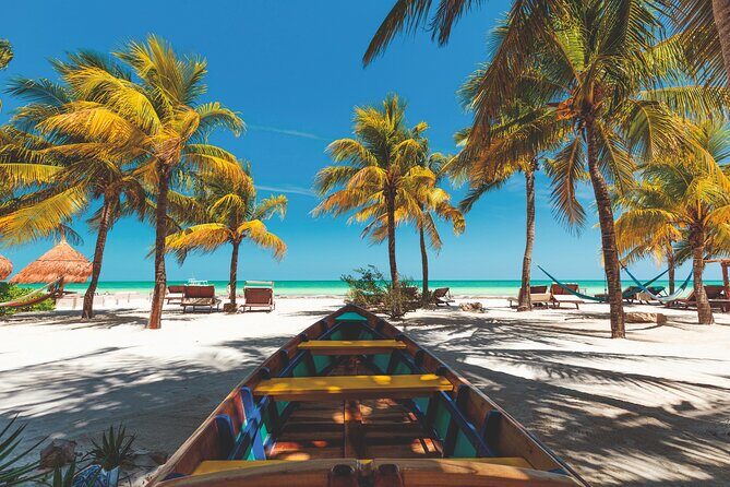 Full-Day Holbox Island Boat and Buggy Tour with Lunch - Introduction: What’s in Store on This Tour