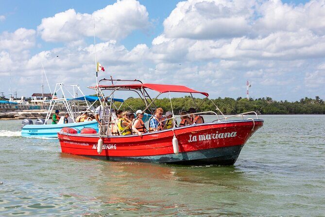 Full-Day Holbox Island Boat and Buggy Tour with Lunch - Analyzing the Value for Money