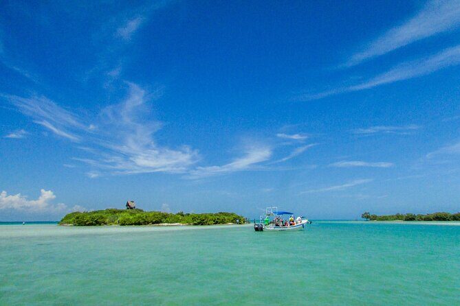 Full Day Holbox Island Tour from Cancun with Lunch - The Sum Up