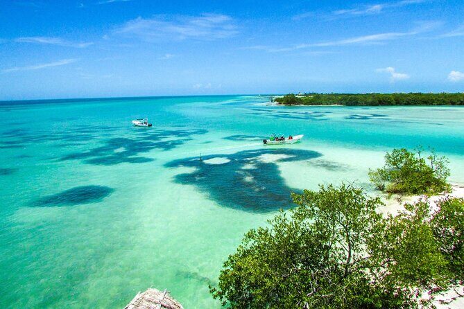 Full Day Holbox Island Tour from Playa del Carmen with Lunch - Exploring the Holbox Island Day Tour from Playa del Carmen: An Authentic Adventure