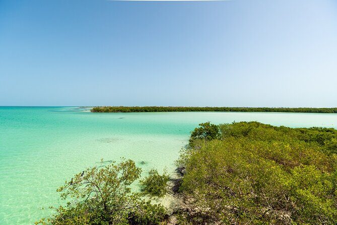 Full Day Holbox Island Tour from Playa del Carmen with Lunch - The Cost and Whats Included