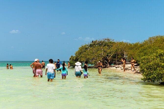 Full Day Holbox Island Tour from Playa del Carmen with Lunch - Authenticity and Traveler Feedback