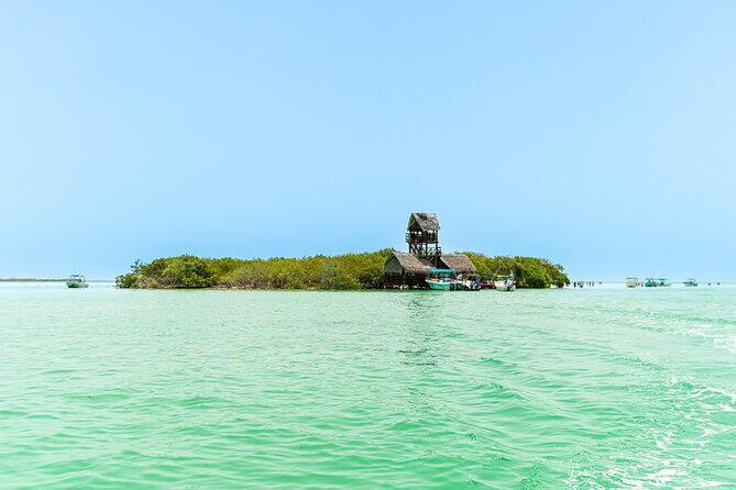 Full Day Holbox Island Tour from Playa del Carmen with Lunch - The Sum Up