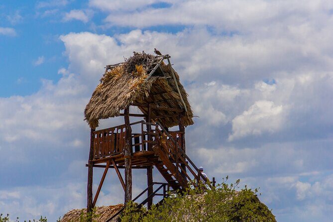 Full Day Holbox Island Tour from Playa del Carmen with Lunch - Lunch and Refreshments