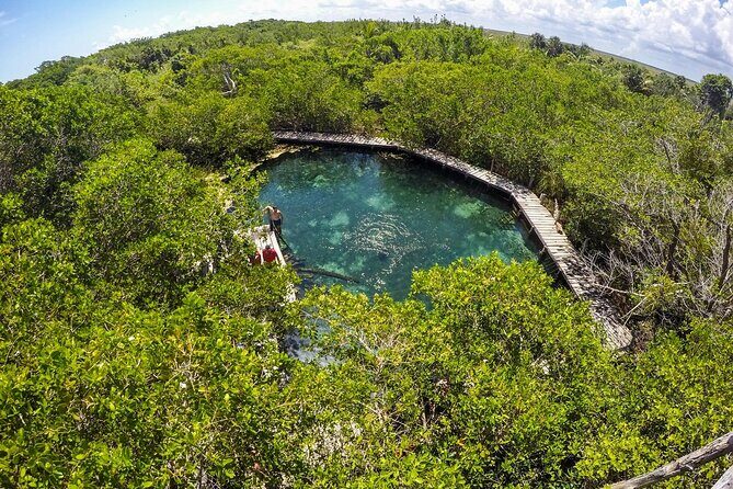Full Day Holbox Island Tour from Playa del Carmen with Lunch - Authentic Reviews: What Travelers Are Saying