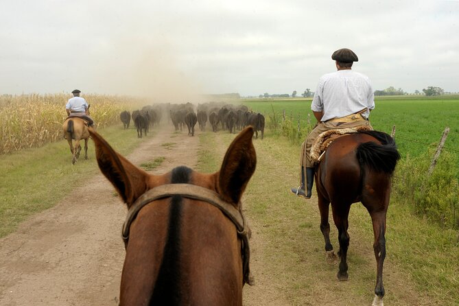 Full-Day Horseback Riding With Gauchos From Buenos Aires - Pickup and Meeting Details