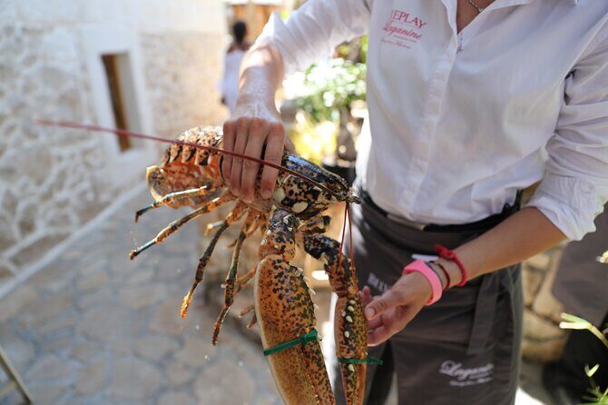 Full-Day Hvar & Pakleni Islands Speedboat Private Tour from Split - FAQs