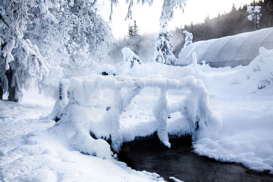 Full Day Ice Museum and Chena Hot Springs Tour - Booking and Cancellation