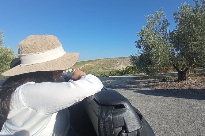 Full day in Cordoba between Vineyards and Olive Trees with a Convertible Car - Who Should Book This Experience?