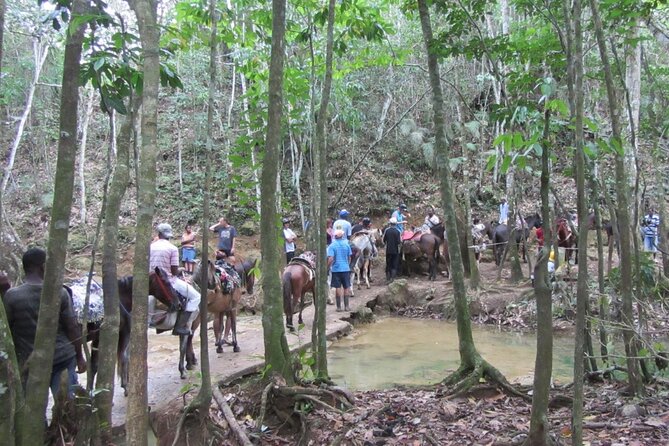 Full Day in Samaná With Limón Waterfall and Cayo Levantado Beach - Booking and Cancellation Policy