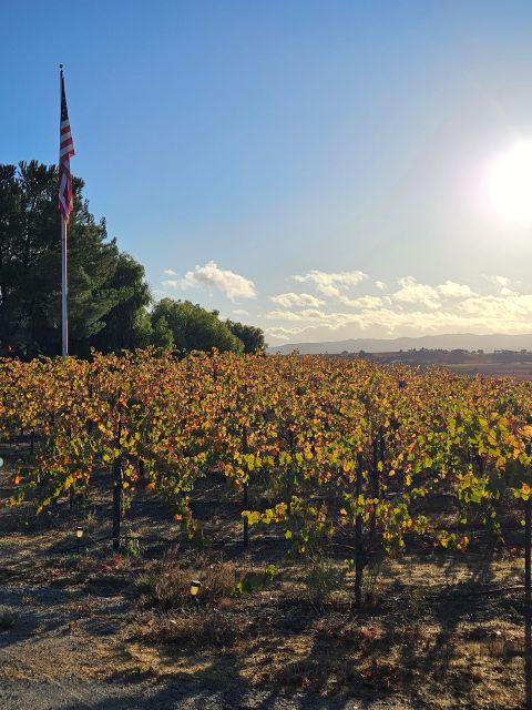 Full-Day Inclusive Wine Tasting Tour From Santa Ynez Valley - Inclusions