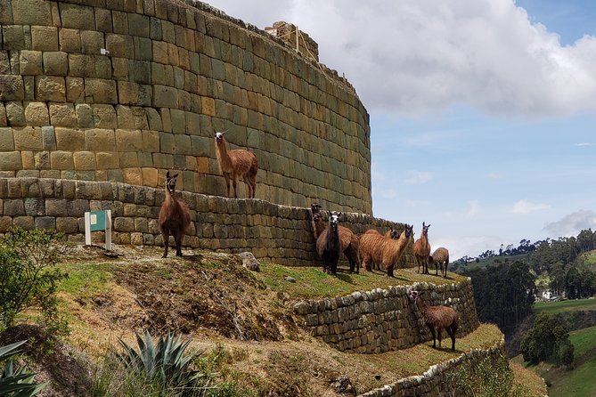 Full-Day Ingapirca, Gualaceo & Chordeleg From Cuenca - Tour Requirements and Restrictions