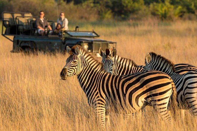 Full Day Isimangaliso Wetlands Park -Croc & Hippo &Game Fr Durban - St Lucia Estuary Boat Cruise
