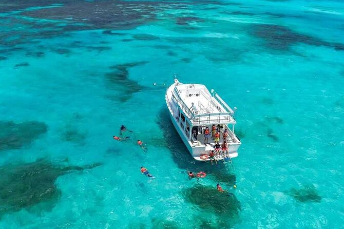 Full-Day Isla Contoy Sailing Nature Experience in Mujeres - Participant Requirements