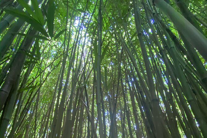 Full Day Island of Maui Private Tour - Authentic Experiences and Hidden Gems