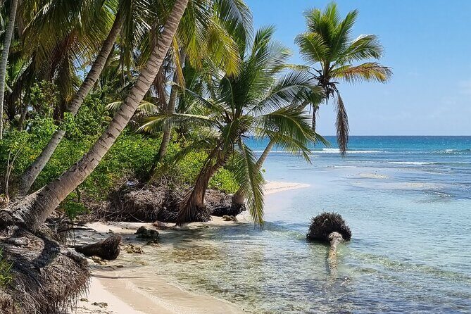 Full Day Island Tour in Isla Saona from Punta Cana - Practical Details: Transport, Duration, and Group Size