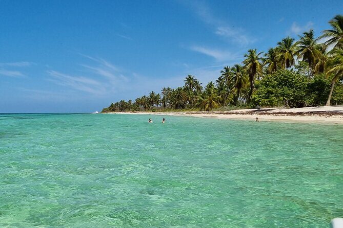 Full Day Island Tour in Isla Saona from Punta Cana - Pricing and Value