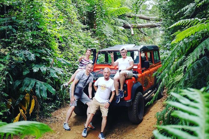 Full-Day Jeep 4x4: Amazing West Full-Day Tour to Natural Pools - Whats Included
