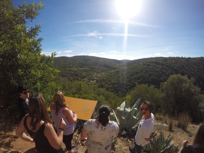 Full-Day Jeep Safari Algarve Moments - Key Points