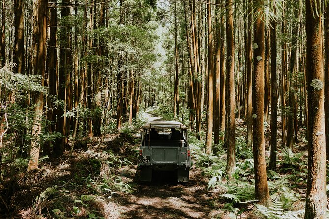 Full Day Jeep Safari Tour - Terceira Island - Included Amenities