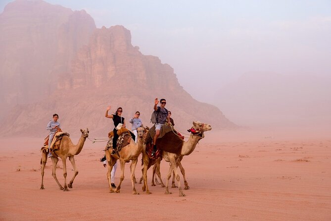 Full Day Jeep Tour in Wadi Rum (Incl. Bedouin Picnic Lunch) - Customer Reviews and Feedback