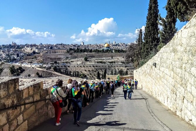 Full Day Jerusalem Tour: In Jesus Steps - Traveler Reviews and Recommendations