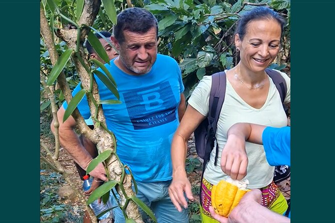 Full-Day Jungle Trek on Nosy Komba (Lemur Island) With the Black Lemur Sanctuary - Included Amenities and Services