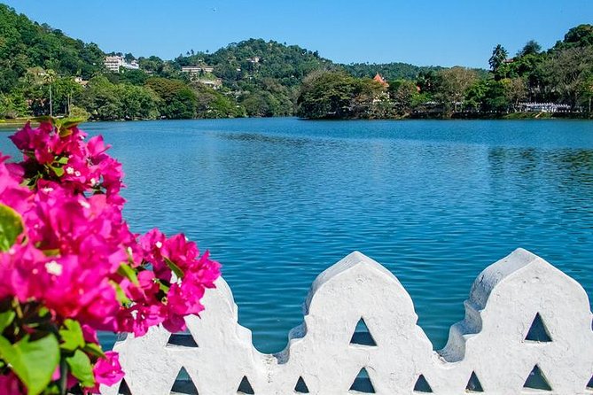 Full Day Kandy Walking Tour With TUK TUK Ride to Peradeniya Gardens - Peradeniya Gardens