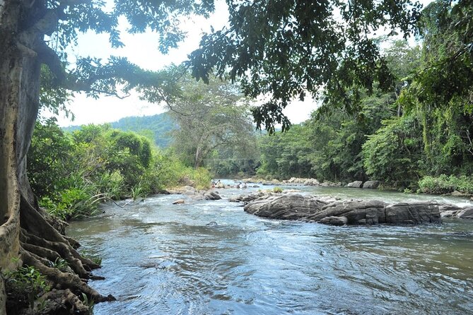 Full Day Kandy Walking Tour With TUK TUK Ride to Peradeniya Gardens - Customer Reviews