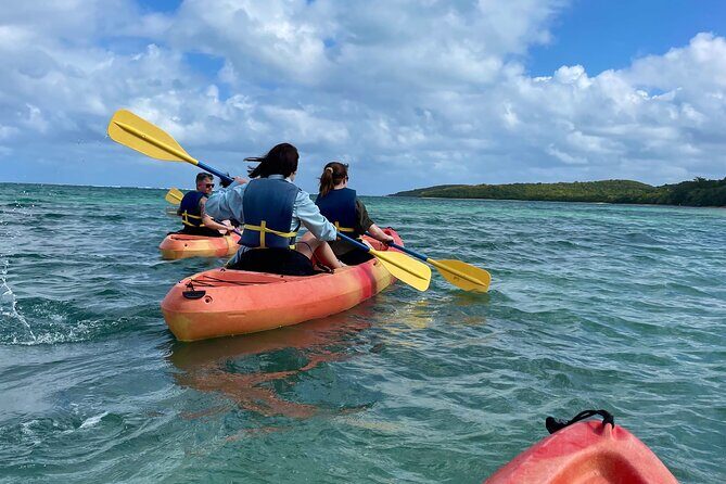 Full-Day Kayak Adventure Explore Fajardos Crystal-Clear Waters - The Practical Side: What You Need to Know