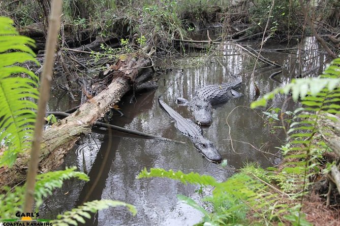 Full-Day Kayak Adventure in the Everglades - Booking Information