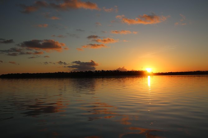 Full-Day Kayak Adventure in the Everglades - Customer Experiences