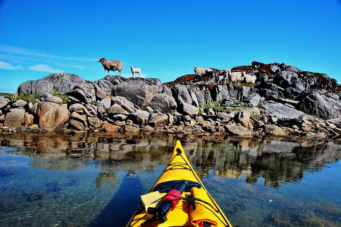 Full Day Kayak-Northern Explorer - Meeting Point and Schedule