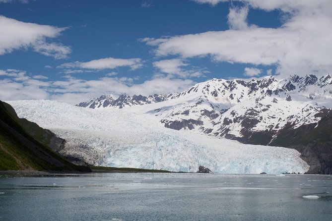 Full-Day Kenai Fjords National Park Cruise - Crew and Service