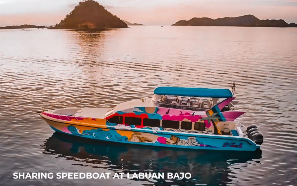 Full Day Komodo Tour 6 Spot & Snorkeling - Sharing Speedboat - Itinerary Highlights