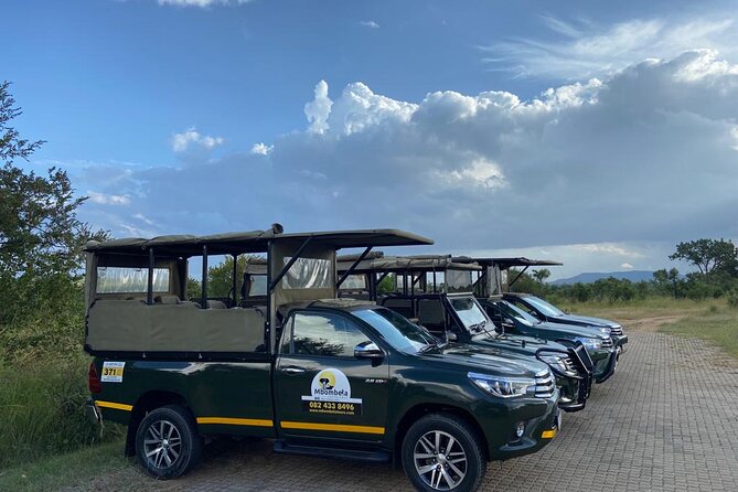 Full-Day Kruger Park Safari From Nelspruit, Whiteriver or Hazyview - Meeting Points and Time