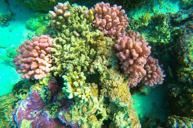 Full-day Lagoon Safari Tour with Lunch in Bora Bora - Shared tour - Practical Details